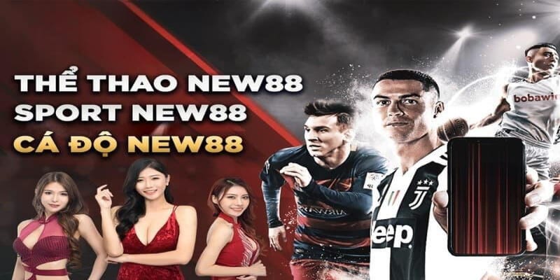 Tổng quan về chuyên mục cá cược thể thao New88